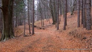 otta Schadlish-03-06-2014 18-02-12